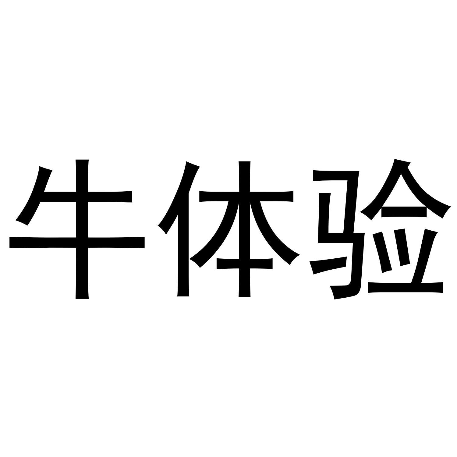 牛体验