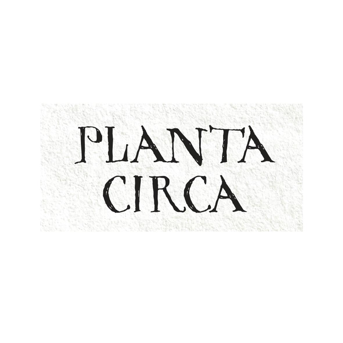PLANTA CIRCA