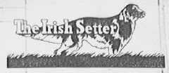 THE IRISH SETTER