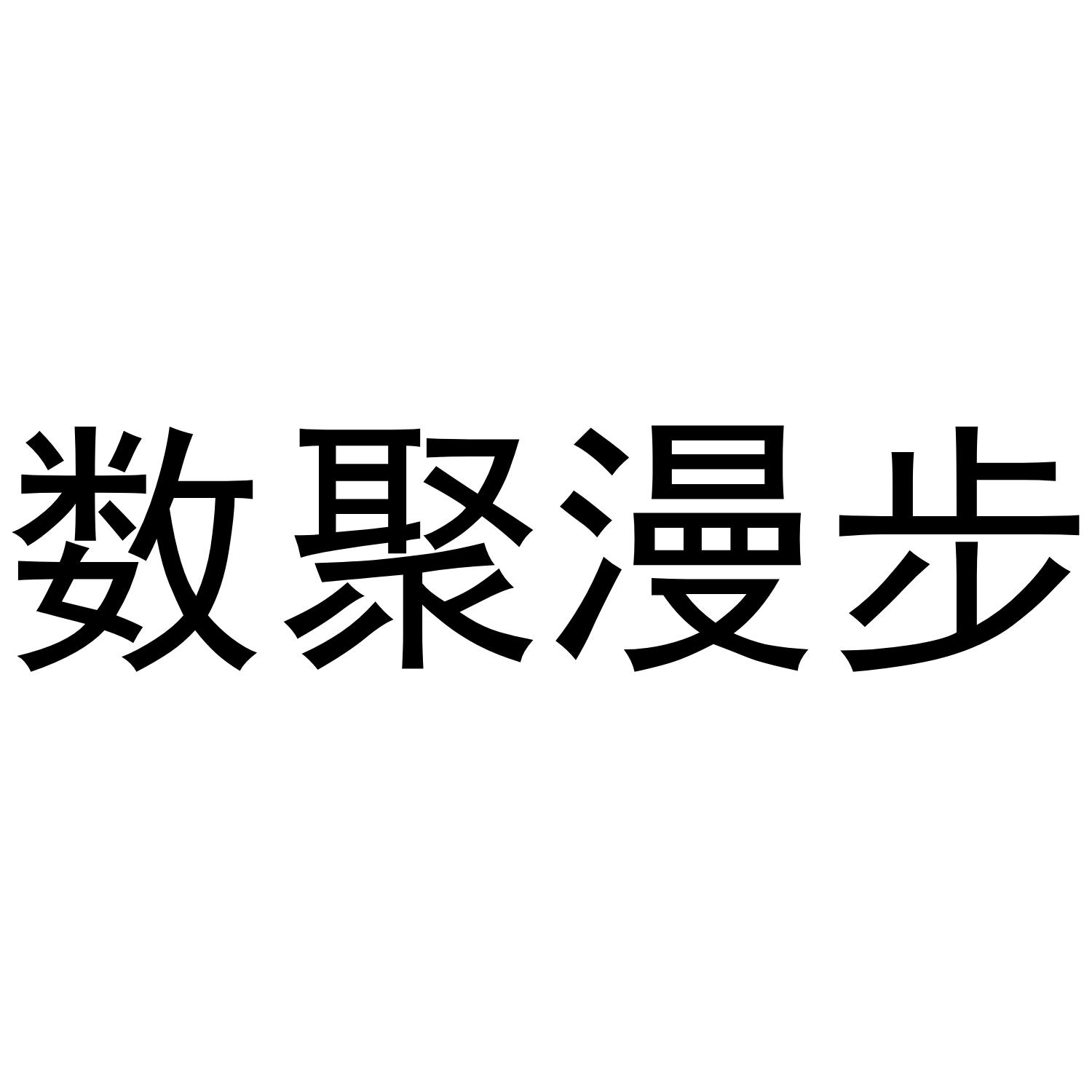 数聚漫步