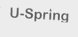U-SPRING