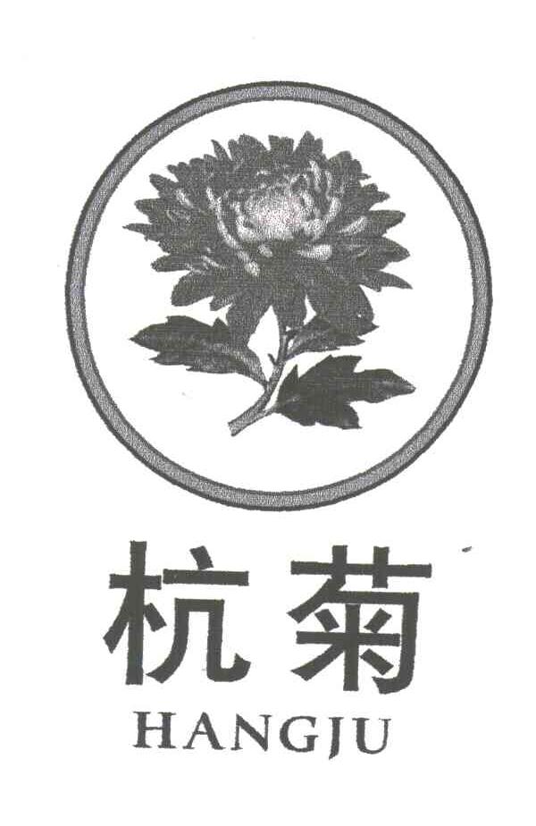 杭菊