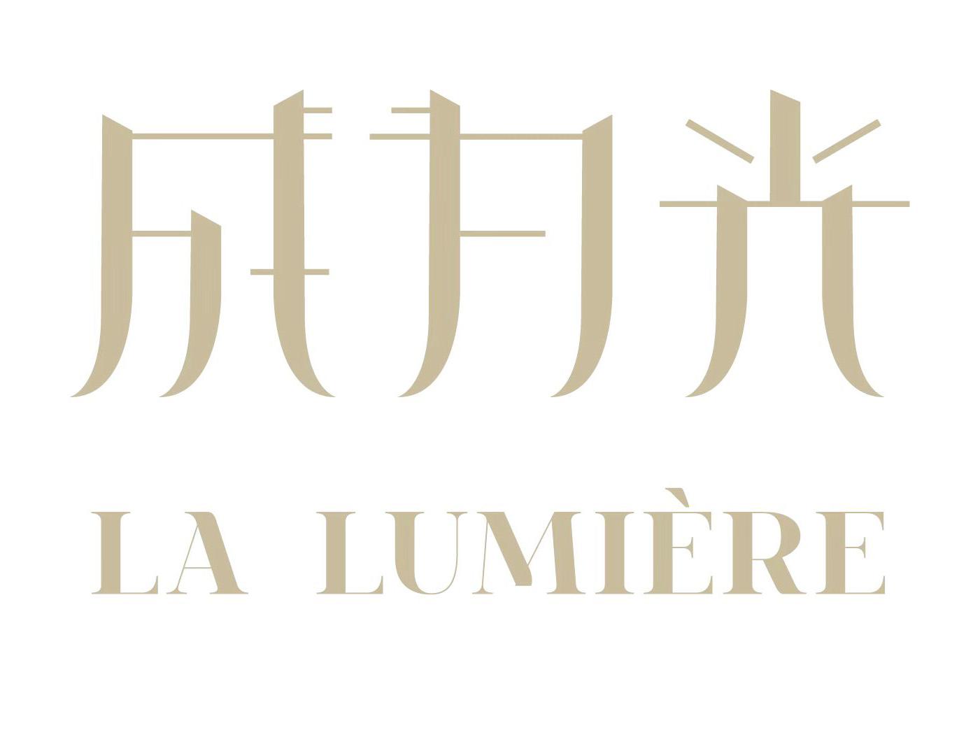 成为光 LA LUMIERE