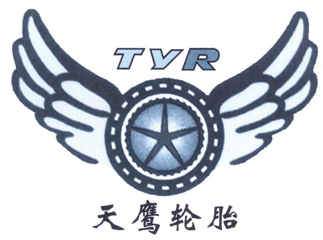 天鹰轮胎 TYR