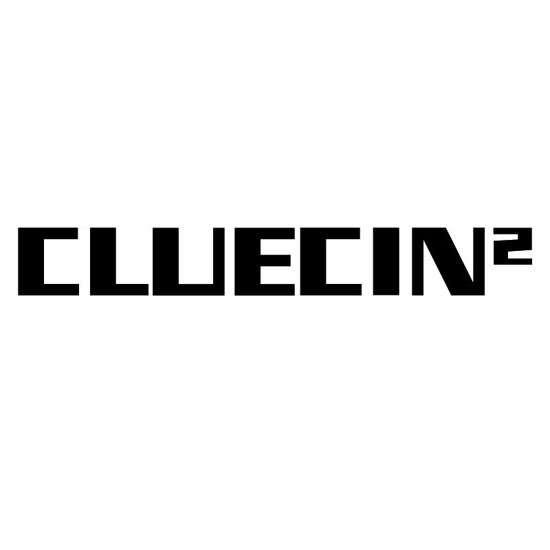 CLUECIN 2