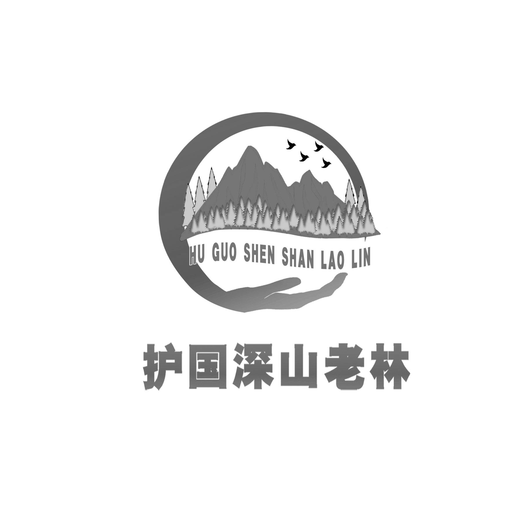 护国深山老林