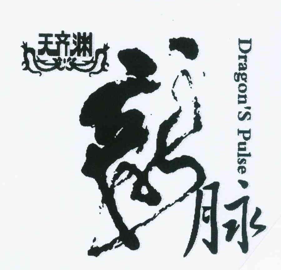 天齐渊龙脉 DRNGON S PULSE