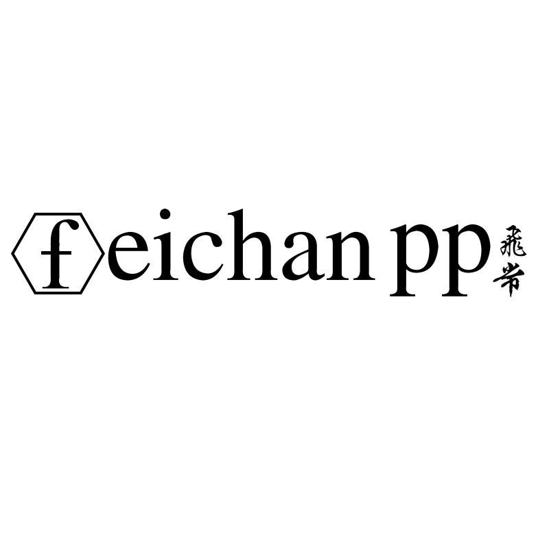 FEICHAN PP 飞常