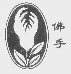 佛手