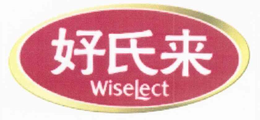 好氏来 WISELECT