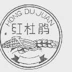 红杜鹃