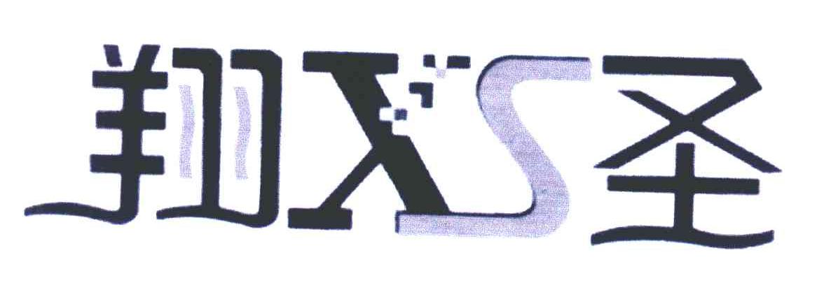 翔圣 XS