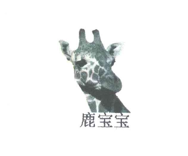 鹿宝宝