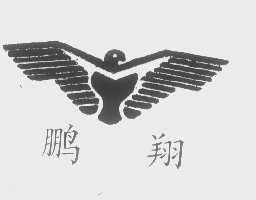 鹏翔