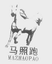 马照跑