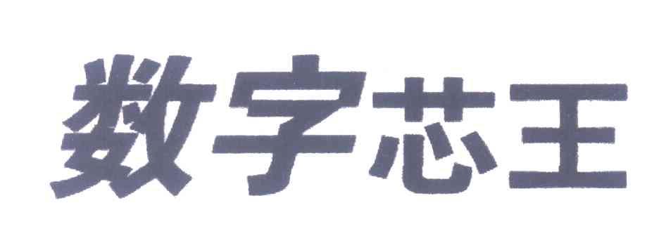 数字芯王