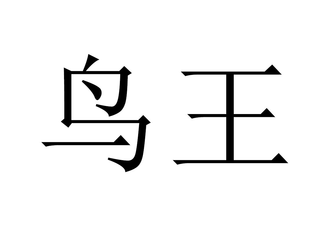 鸟王