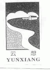 云想