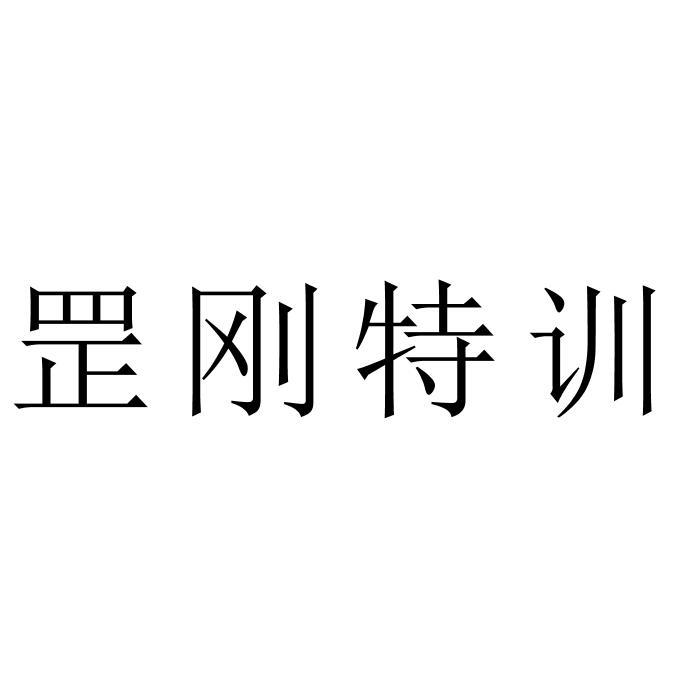 罡刚特训