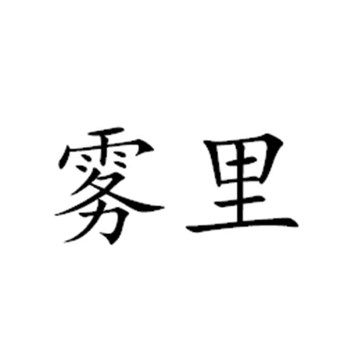 雾里