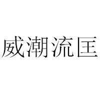 威潮流匡
