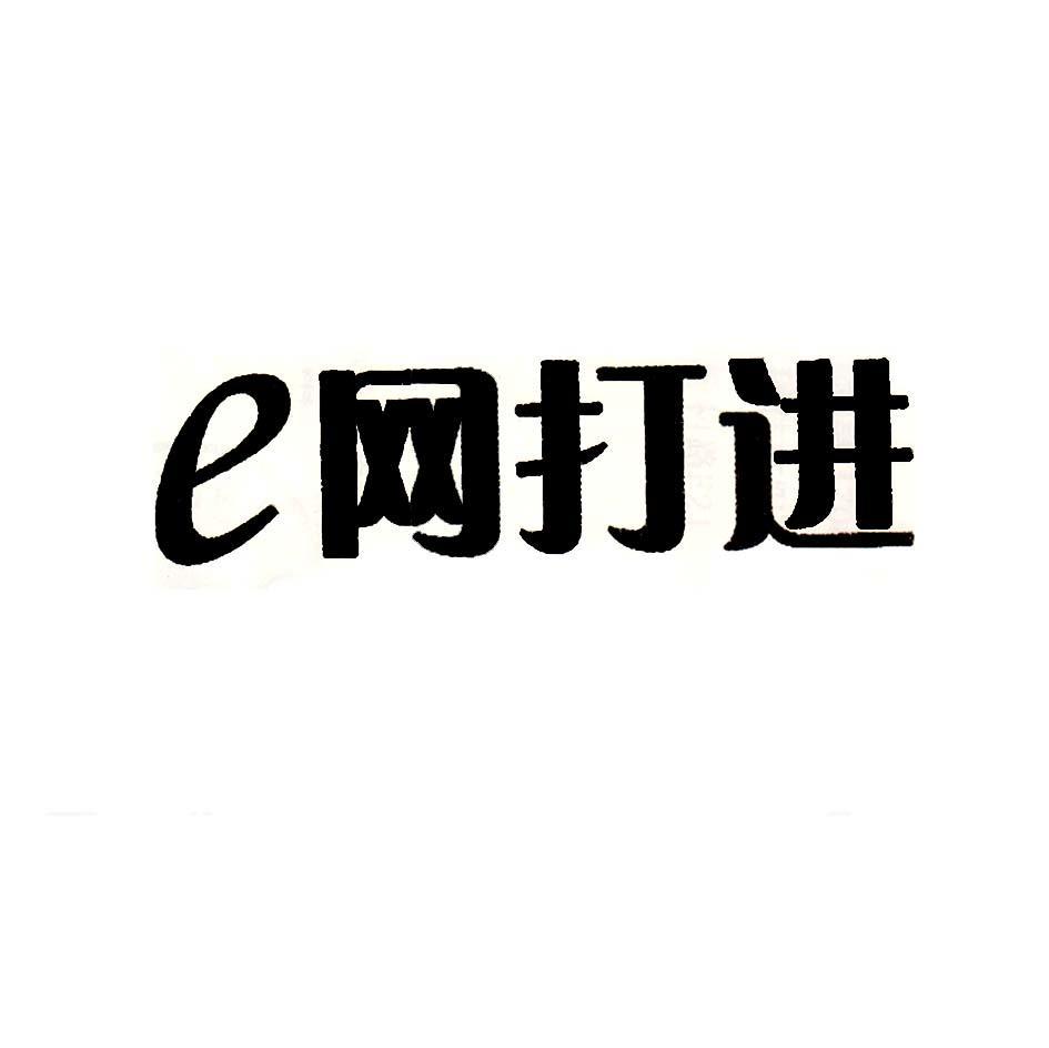 E 网打进