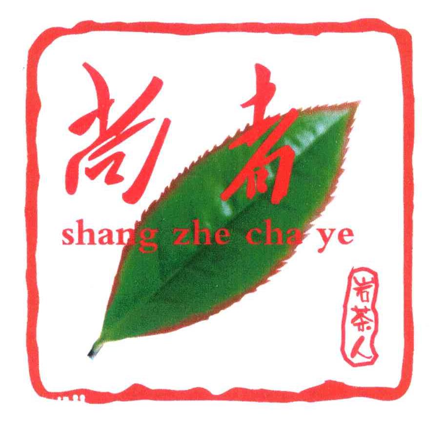 尚者 岩茶人 HANGZHECHAYE