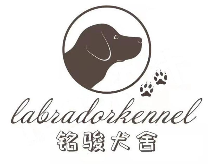 铭骏犬舍 LABRADORKENNEL