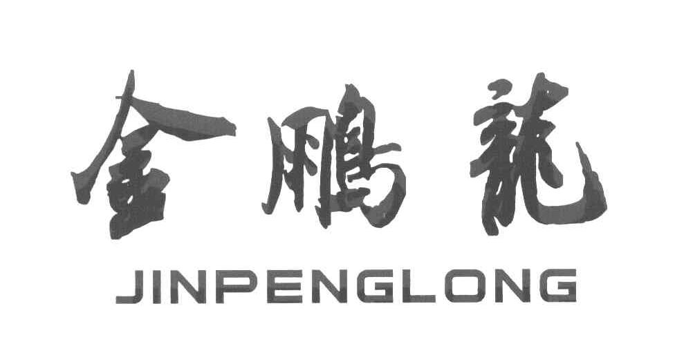 金鹏龙