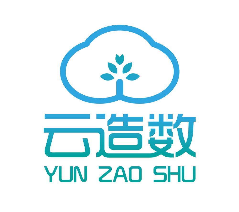 云造数