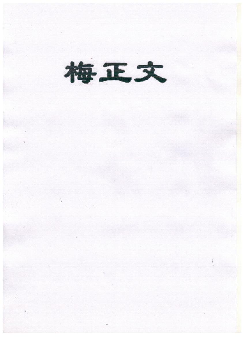 梅正文
