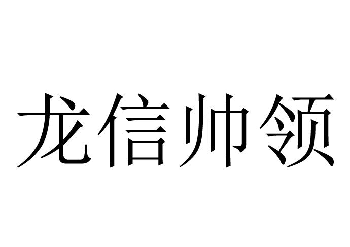 龙信帅领
