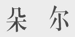 朵尔