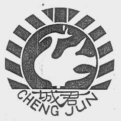城君