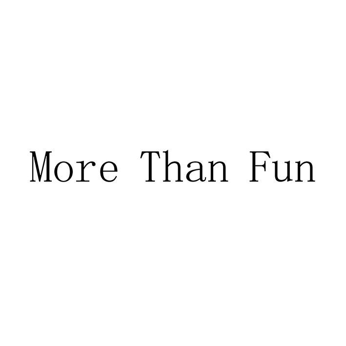MORE THAN FUN