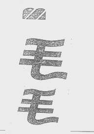 毛毛