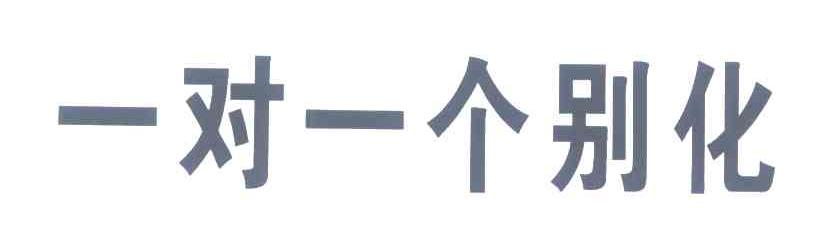 一对一个别化