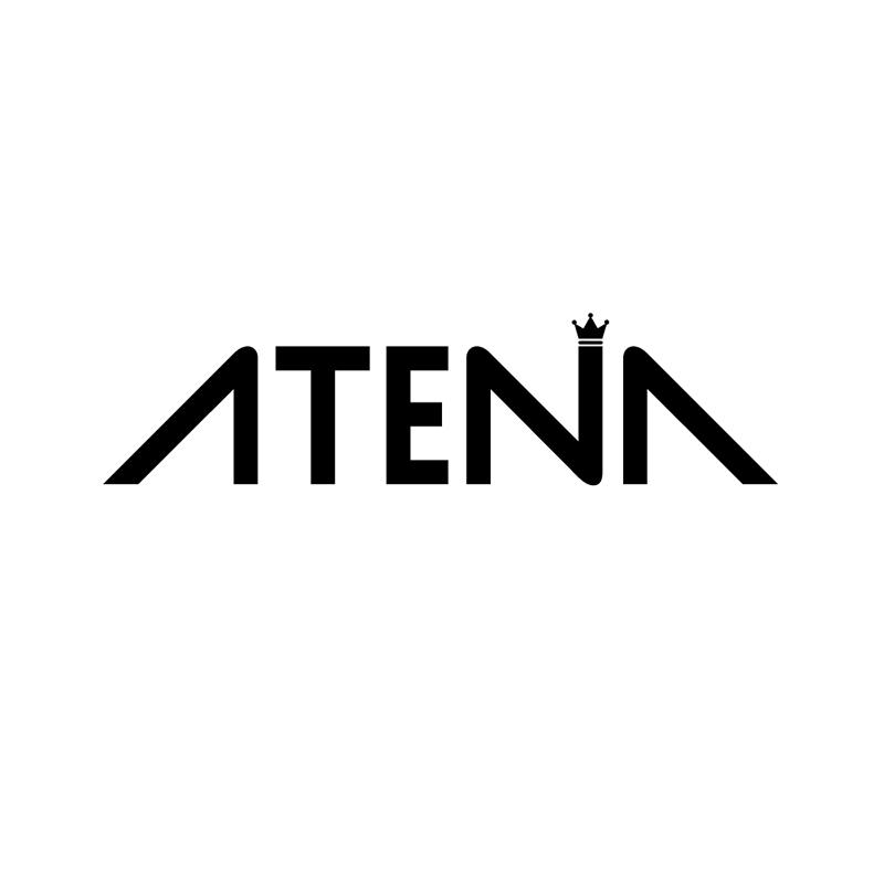 ATENA