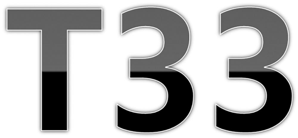 T 33