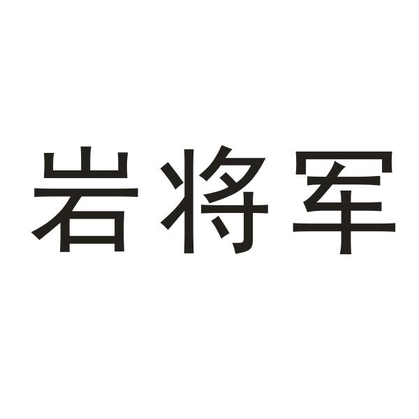 岩将军