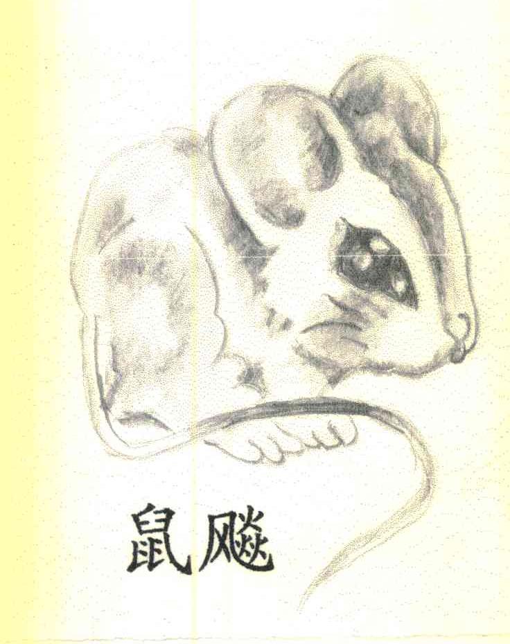 鼠飚