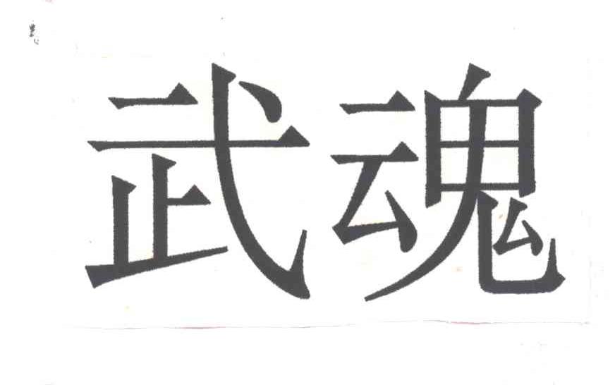 武魂