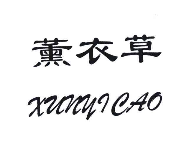 薰衣草