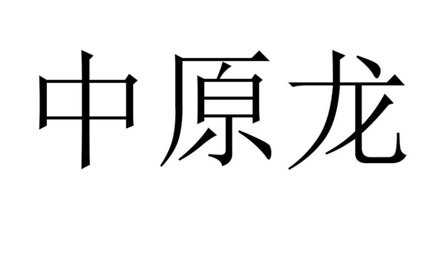 中原龙
