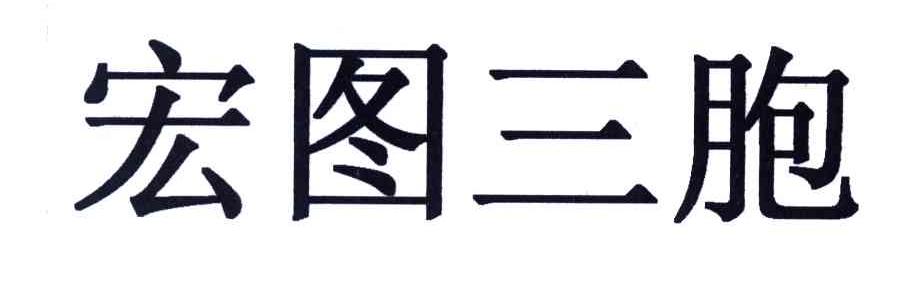宏图三胞