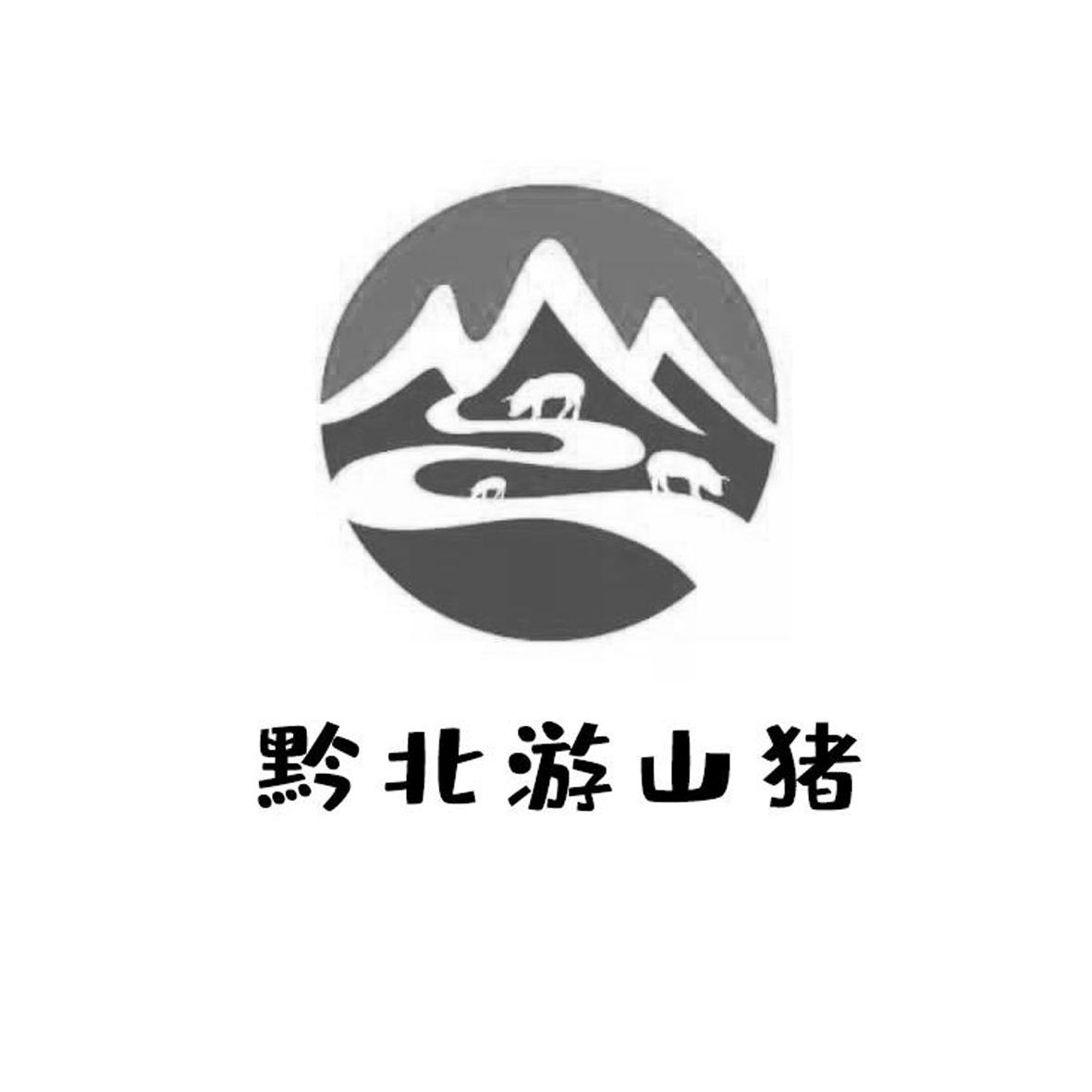 黔北游山猪