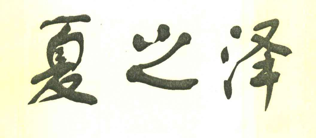 夏之泽