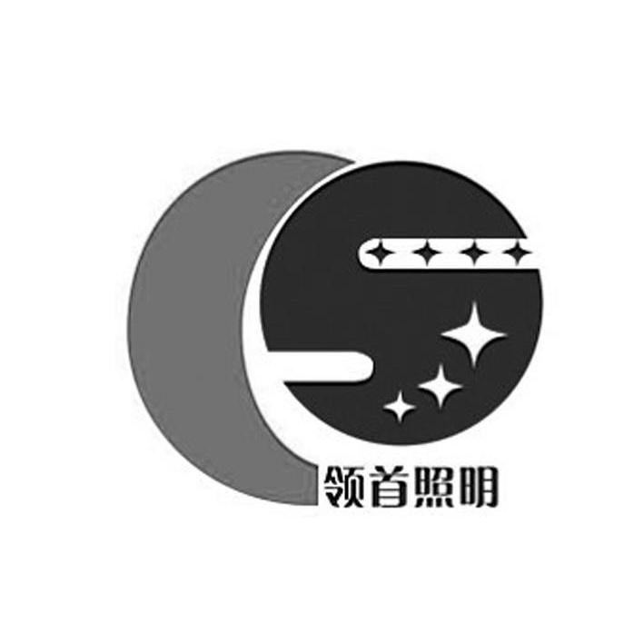 领首照明