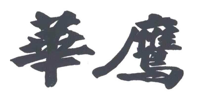 华鹰