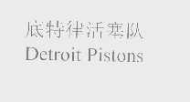 活塞   PISTONS